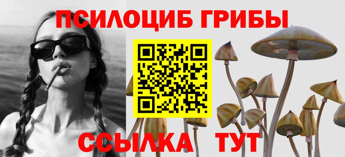 Галлюциногенные грибы мицелий Сорочинск